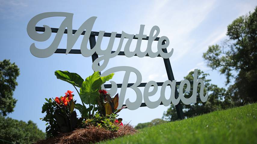 Image for article.