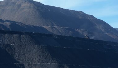 Vancouver-based Arca partners with Carbon Direct to expand carbon credit sales