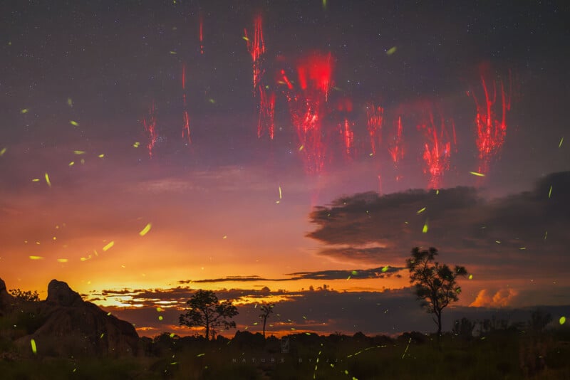 A dramatic sunset landscape with silhouetted trees and rocks, glowing green fireflies, and bright red lightning sprites illuminating the night sky above.