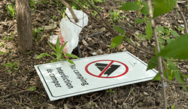 Winnipeg groups highlight encampment ban harms