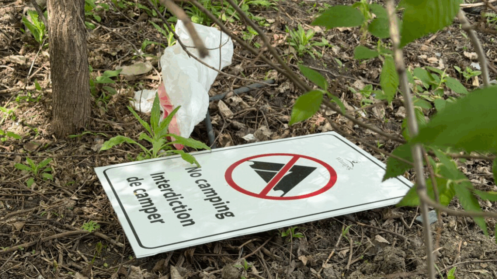 Winnipeg groups highlight encampment ban harms