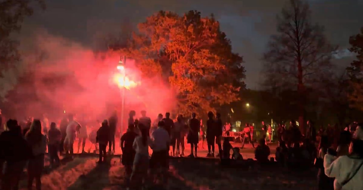 Toronto Victoria Day fireworks arrests