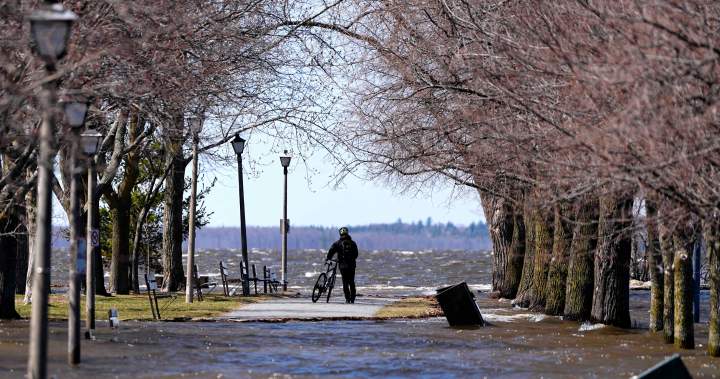 Canada has a new searchable flood risk tool. You just can’t search it yet. - National