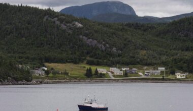 Gas prices cast shadow over Canada’s favourite summer pastime: boating season - CTV News