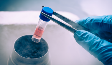 China has just sent stem-cell-grown structures resembling early human embryos to its space station — the first experiment of its kind in orbit — to find out whether humans can actually reproduce beyond Earth