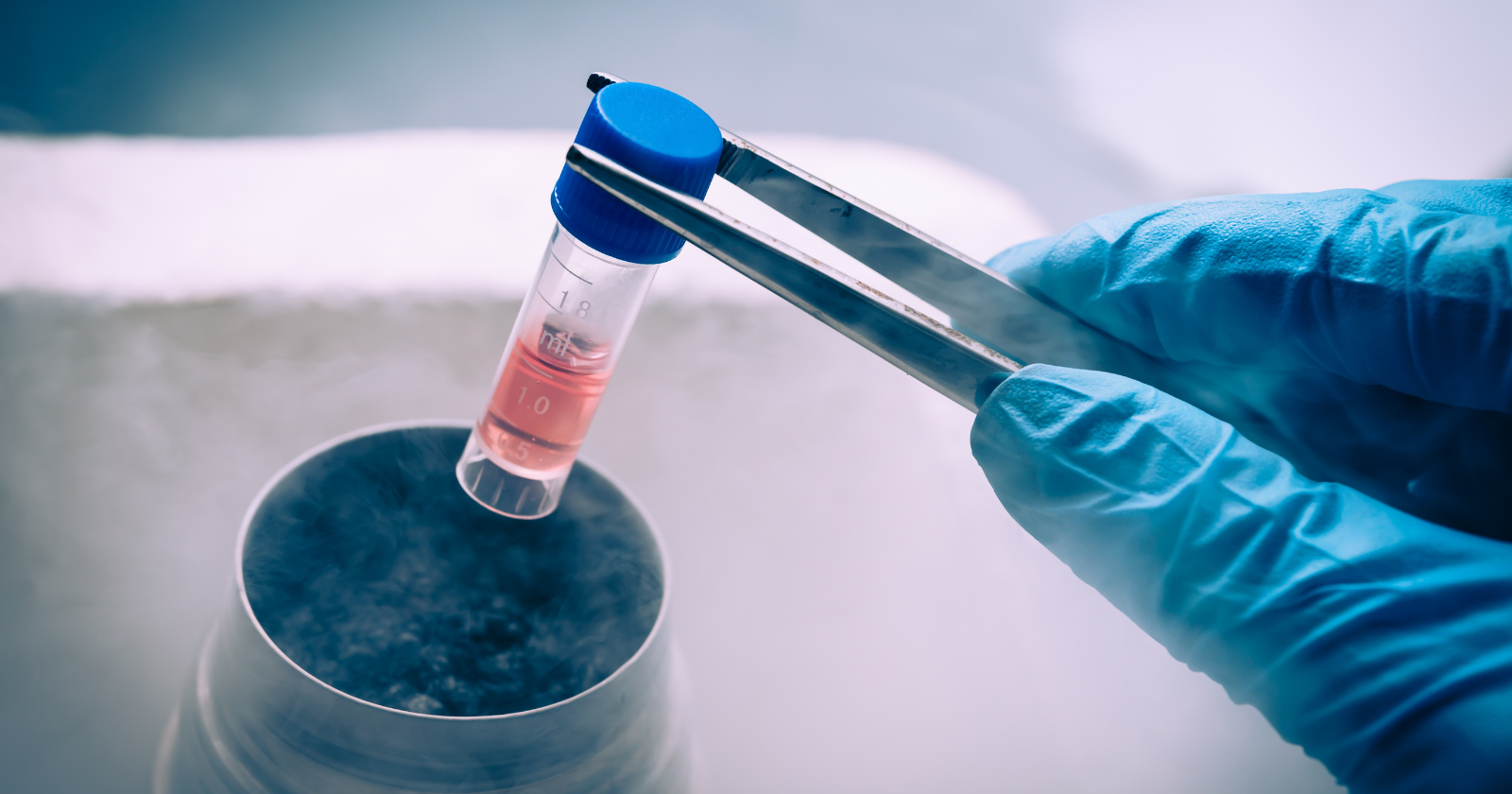 China has just sent stem-cell-grown structures resembling early human embryos to its space station — the first experiment of its kind in orbit — to find out whether humans can actually reproduce beyond Earth
