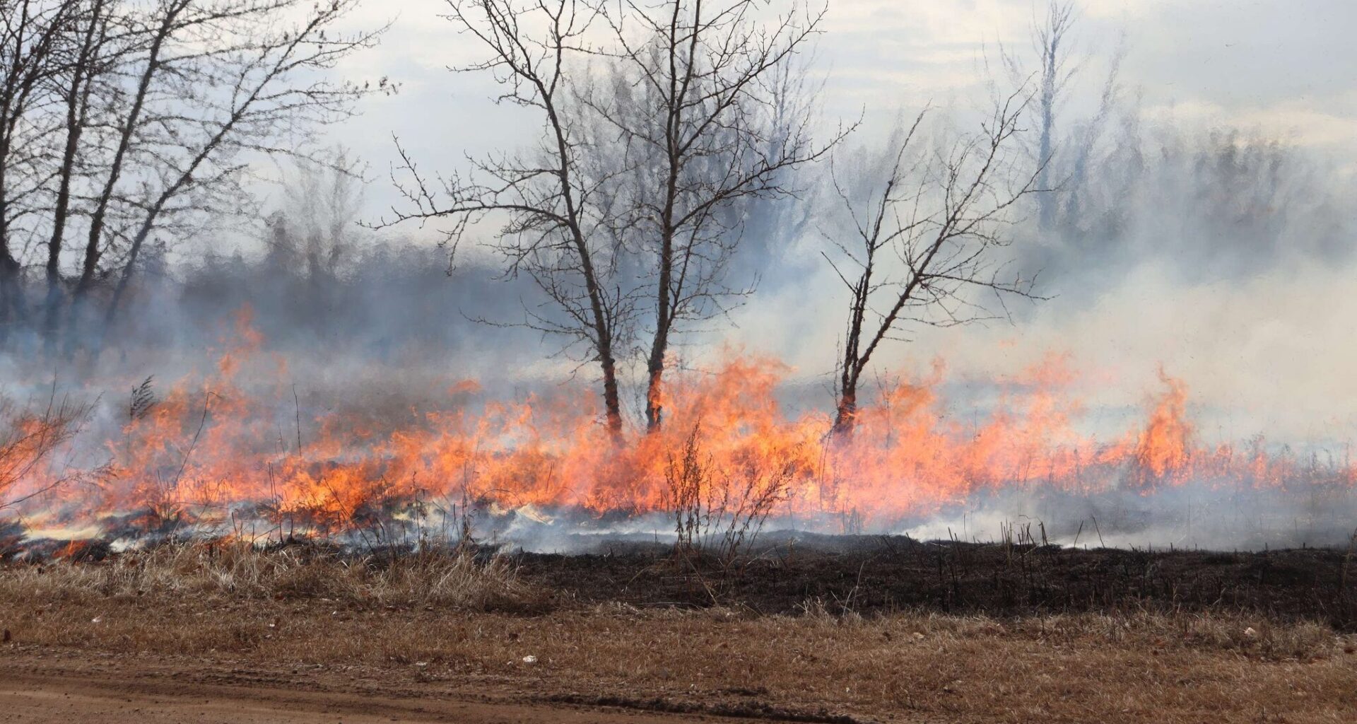Prescribed burn at Edmonton’s Jan Reimer Park rescheduled for Friday
