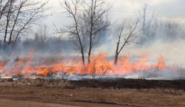 Prescribed burn at Edmonton’s Jan Reimer Park rescheduled for Friday