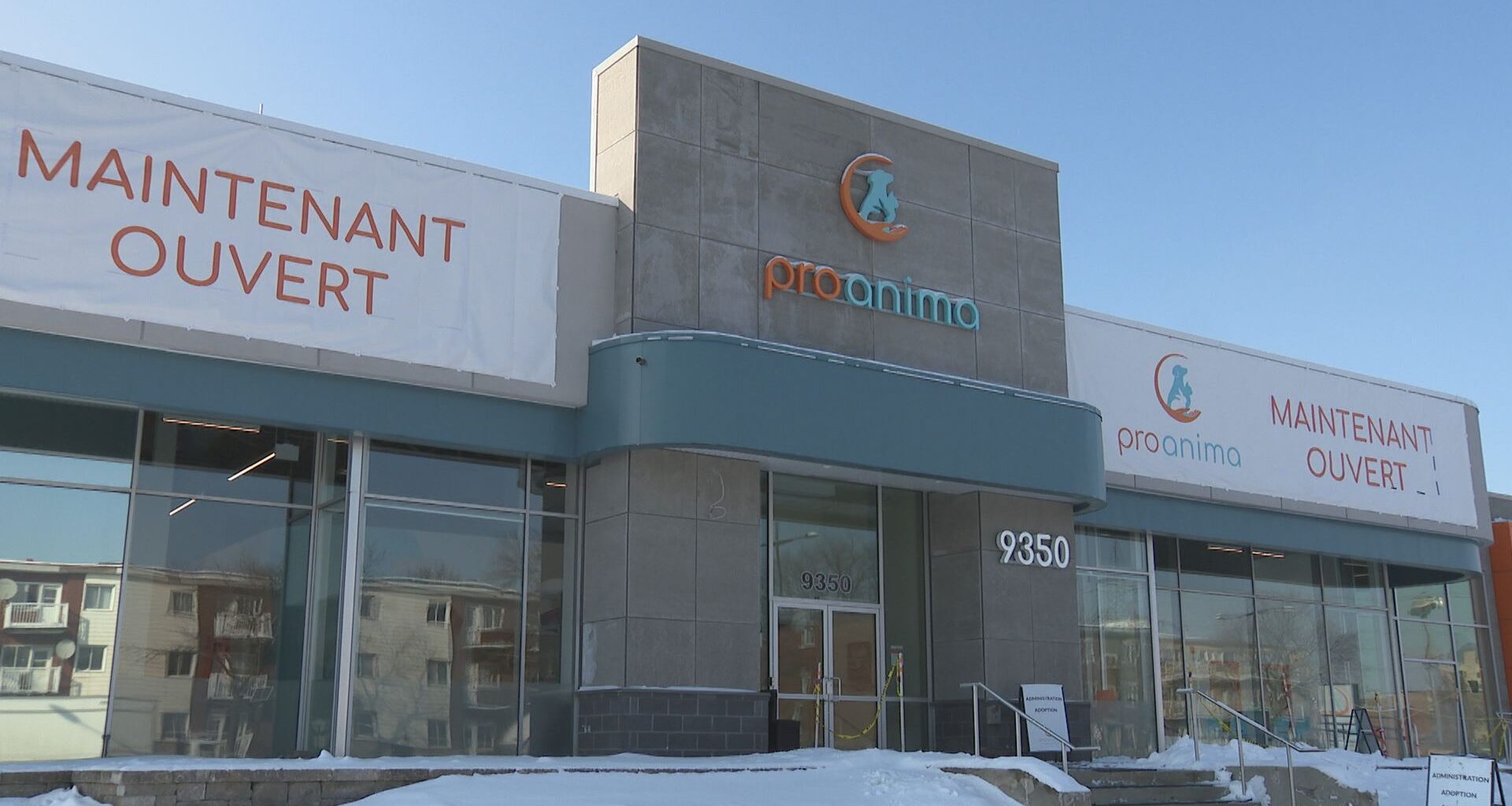 Montreal creates one-stop hub for animal care services with SPCA, Proanima partnership
