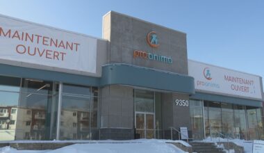 Montreal creates one-stop hub for animal care services with SPCA, Proanima partnership