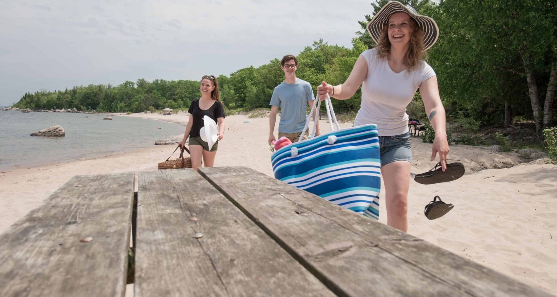 Get free passes to provincial parks and Royal Ontario Museum with a Brampton Library card
