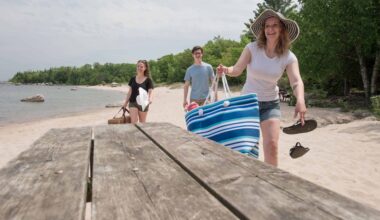 Get free passes to provincial parks and Royal Ontario Museum with a Brampton Library card
