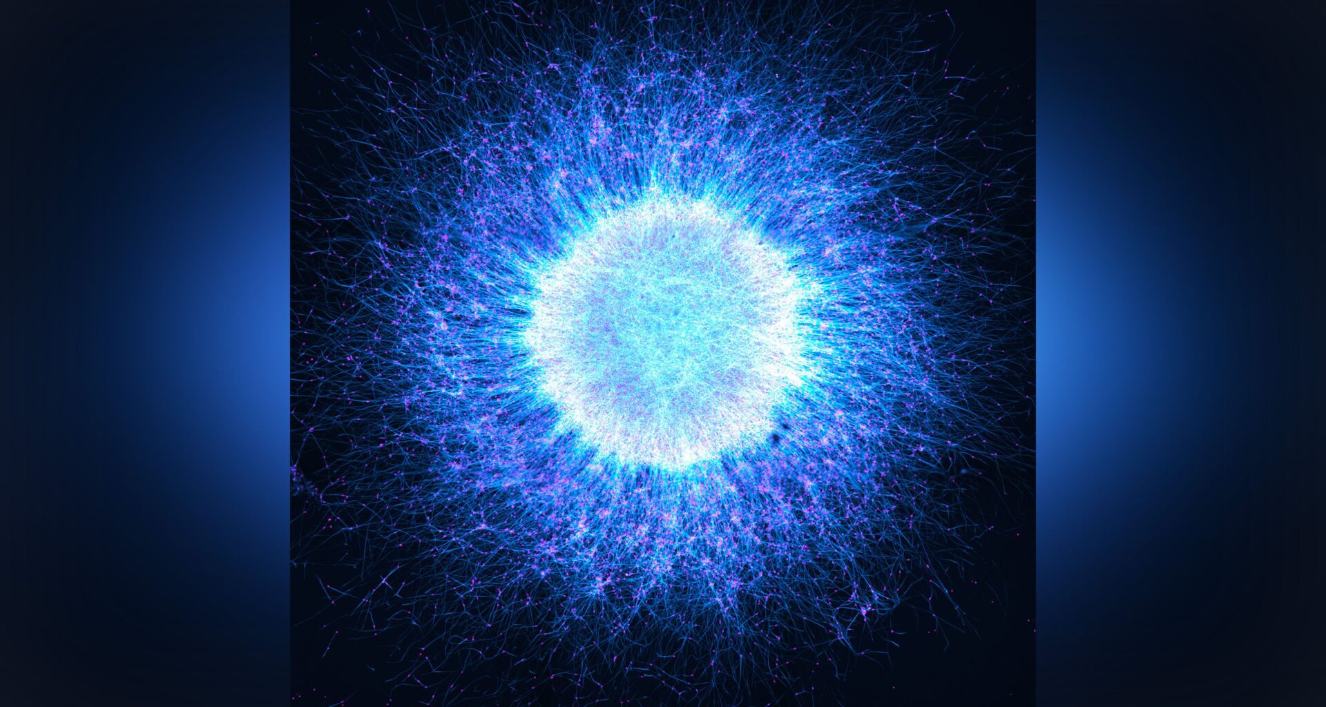 Microscopy contest-winning photo reveals “intriguing parallels” between biology and the cosmos
