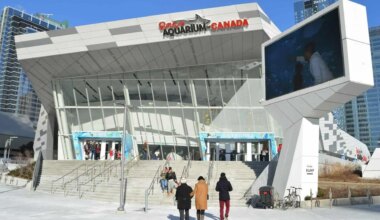 ripley's aquarium of canada new exhibit toronto
