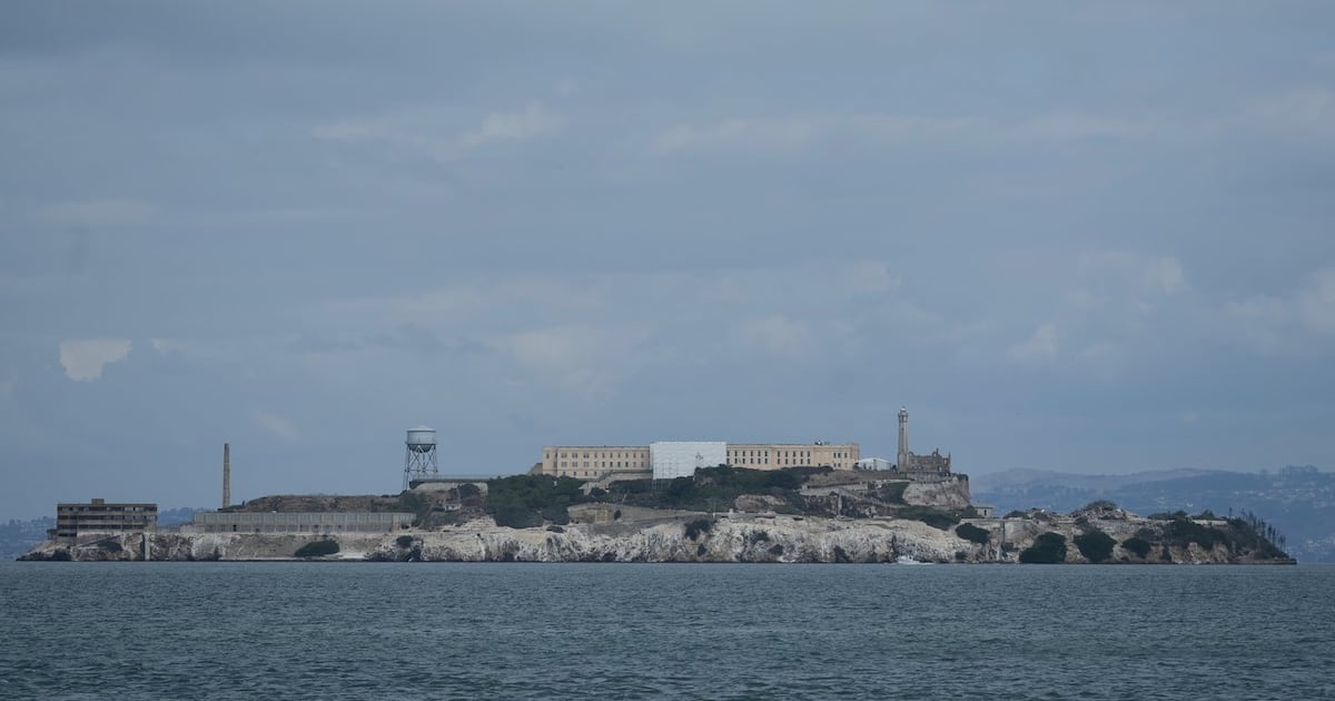 Male coyote swam over 3 km to Alcatraz Island, twice as far as biologists had expected - CTV News