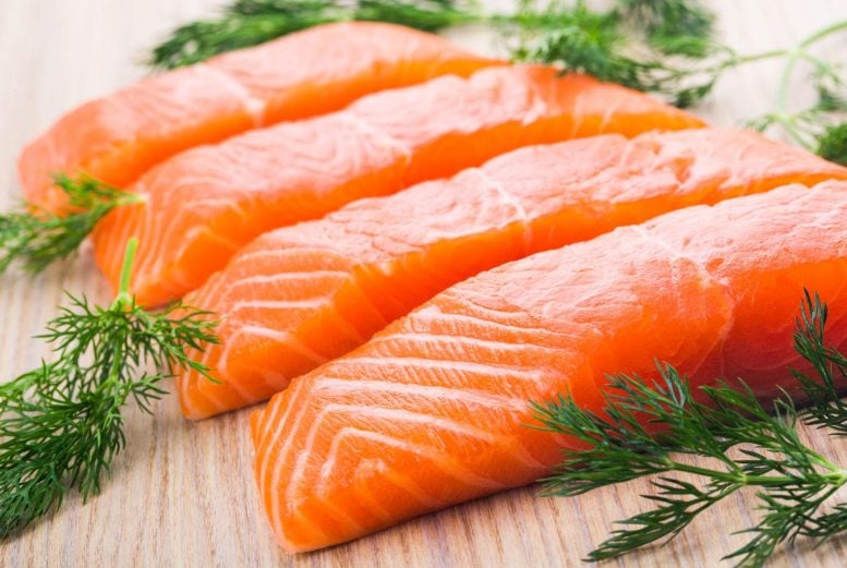 Salmon Fillet