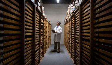 Scientists Keep Finding Major Discoveries Lurking in Museum Backrooms : ScienceAlert