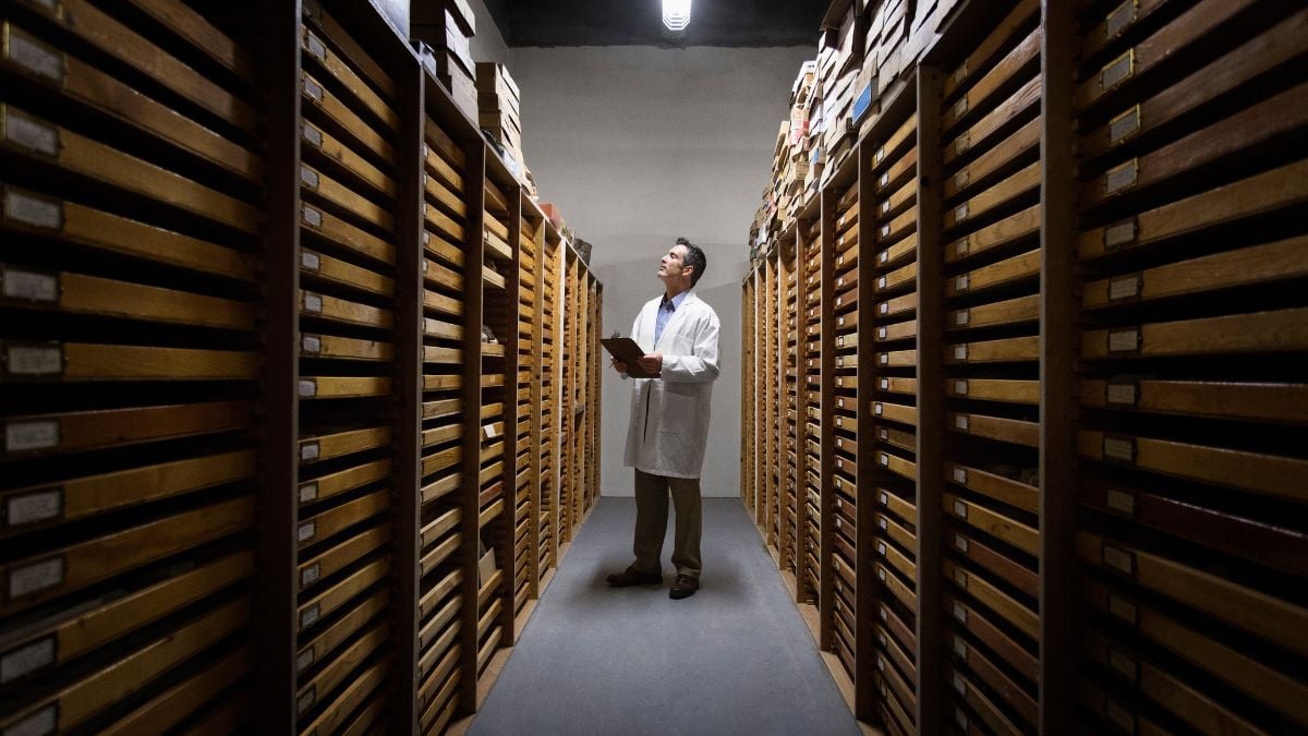 Scientists Keep Finding Major Discoveries Lurking in Museum Backrooms : ScienceAlert