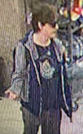 Sex assault suspect