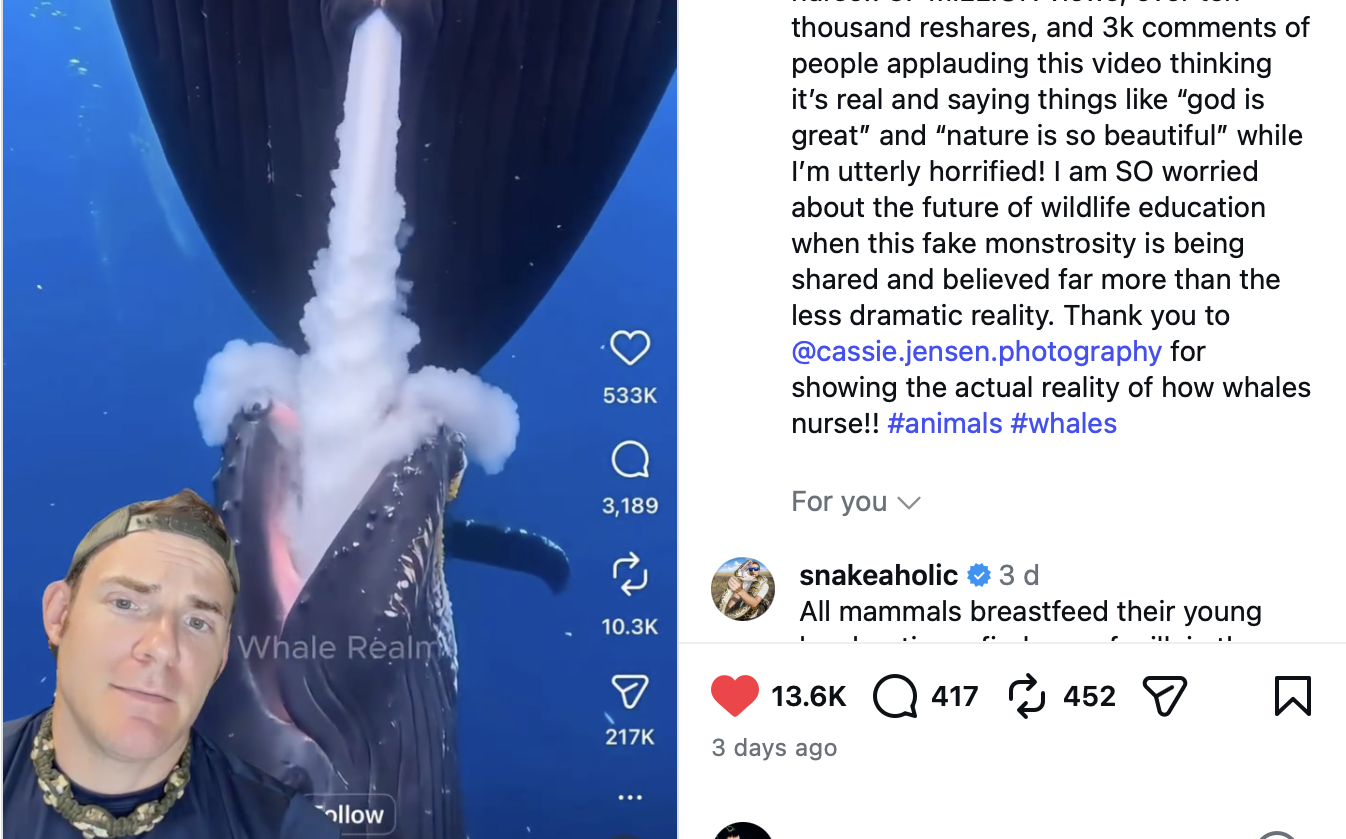 Instagram and TikTok: AI-generated nature documentaries are becoming an issue