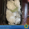 Some of the drugs seized after a search warrant was executed on a Niagara Falls home