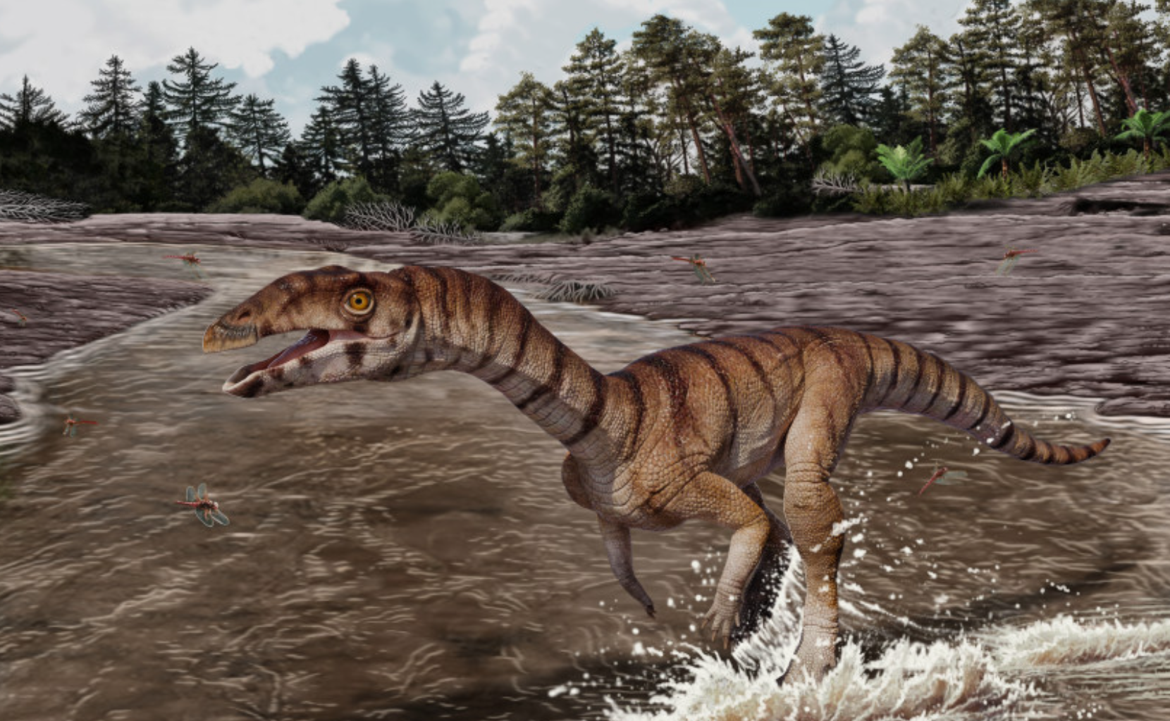 Brighter Side of News