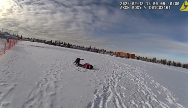 Calgary police cleared of wrongdoing after 9-year-old girl bit by service dog