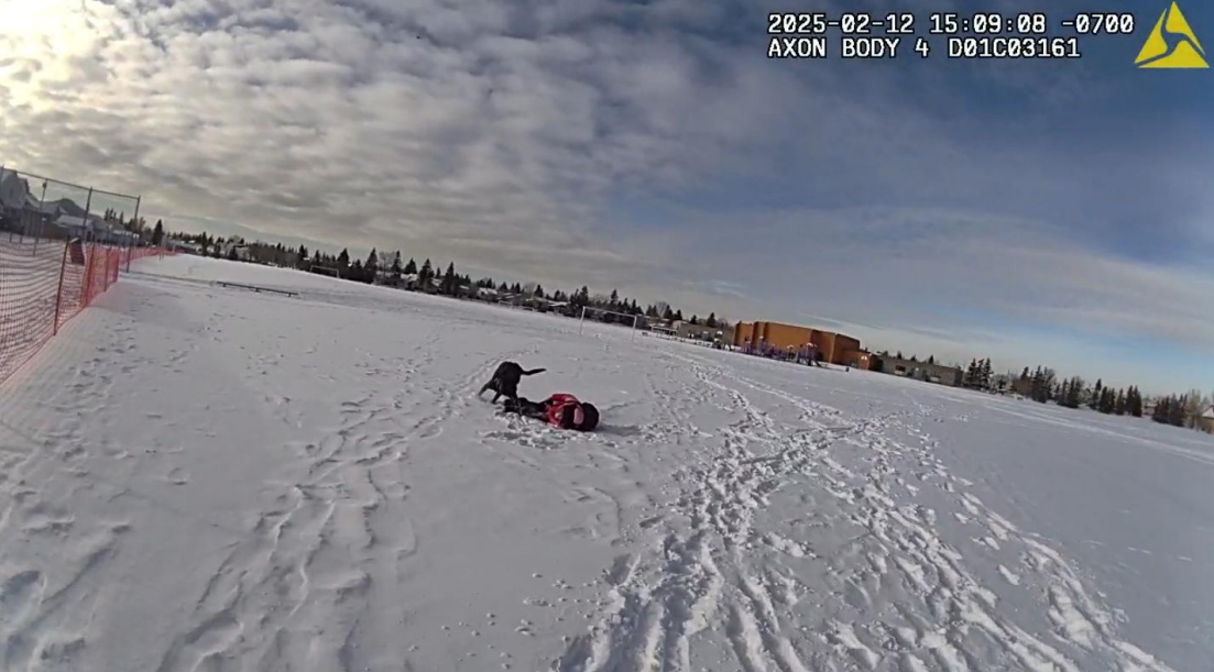 Calgary police cleared of wrongdoing after 9-year-old girl bit by service dog