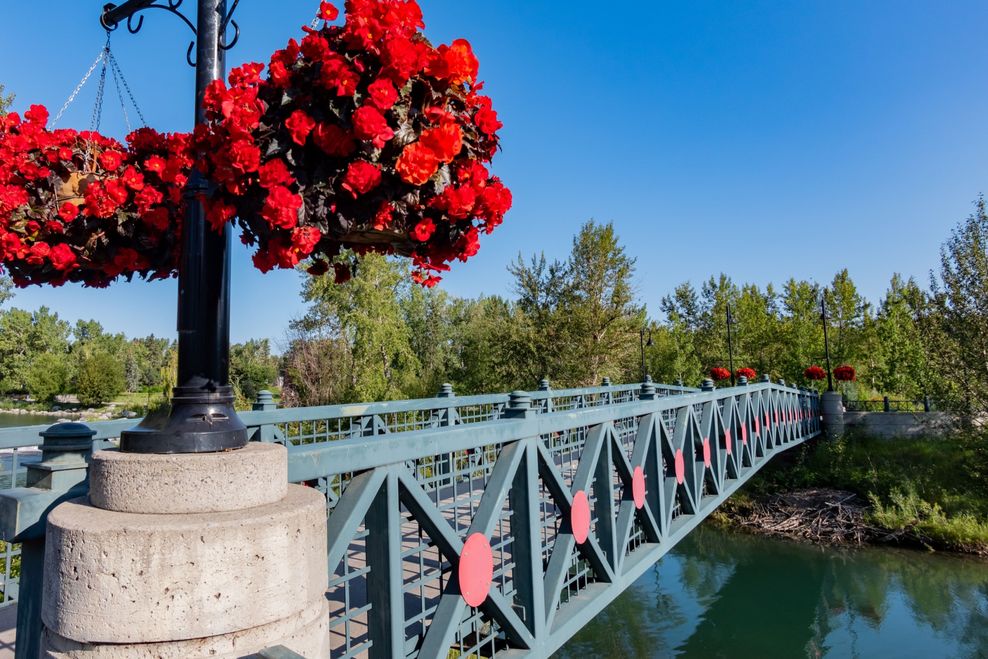 calgary summer neighbourhoods