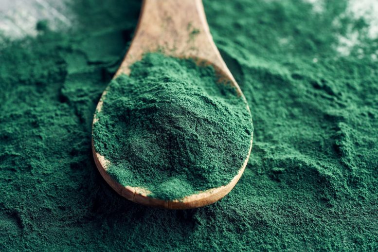 Spirulina Powder