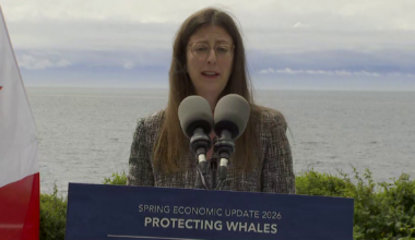 Ottawa proposes $164M in whale protection funding for waters off B.C. coast