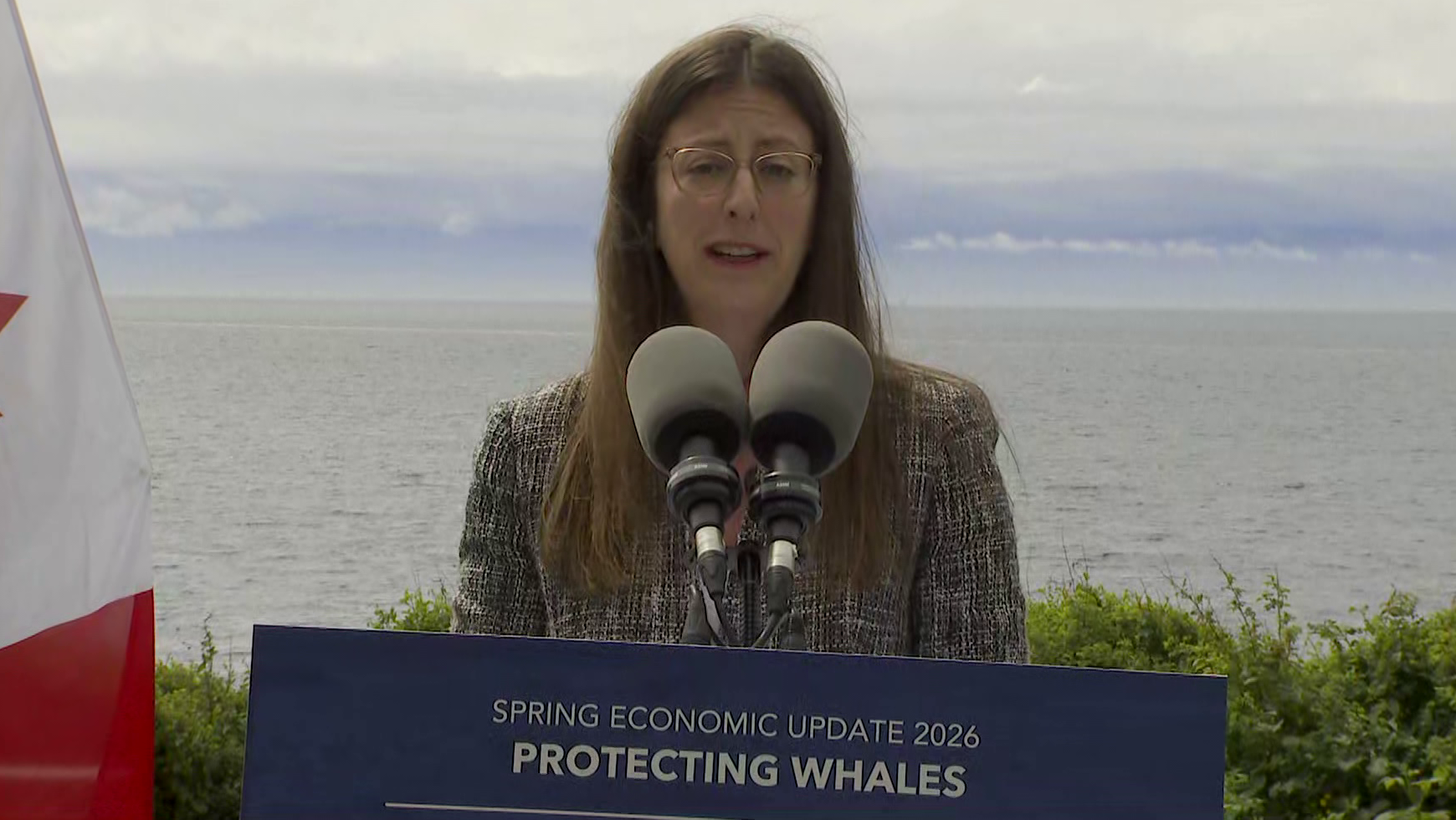 Ottawa proposes $164M in whale protection funding for waters off B.C. coast