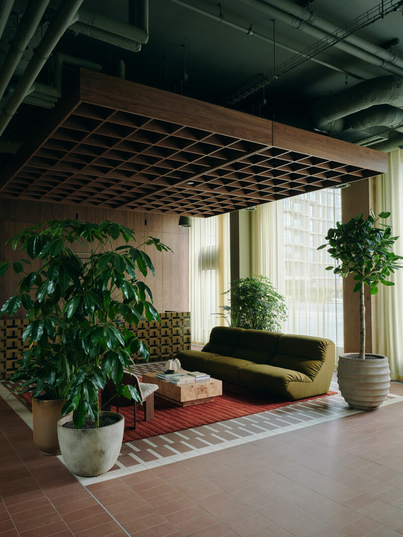 Modern lounge area with a green sofa, wooden coffee tables, large potted plants, and a suspended wooden ceiling grid, with natural light coming through sheer curtains.