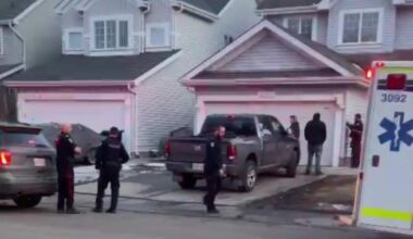 Woman attacked by dogs 2 months before boy killed in Edmonton: ‘Shredded in every direction’