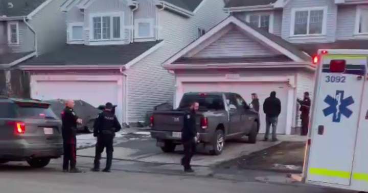 Woman attacked by dogs 2 months before boy killed in Edmonton: ‘Shredded in every direction’