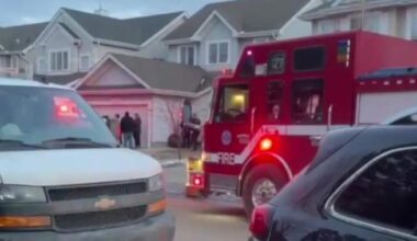 Court hears of prior grisly dog attack at trial over death of 11-year-old boy in Summerside