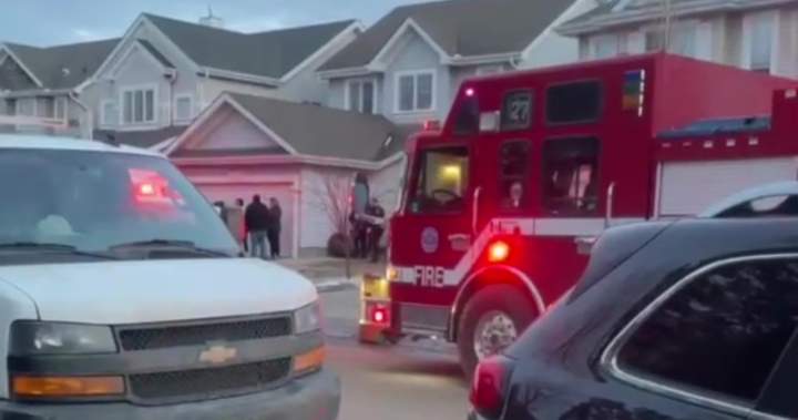 Court hears of prior grisly dog attack at trial over death of 11-year-old boy in Summerside
