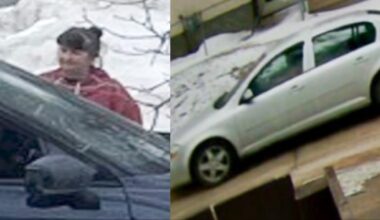Winnipeg police looking for woman who allegedly impersonated police officer
