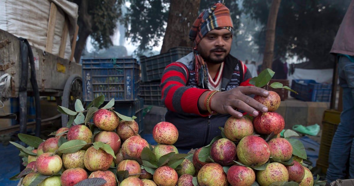Guava juice could help reduce women’s risk of anemia: research