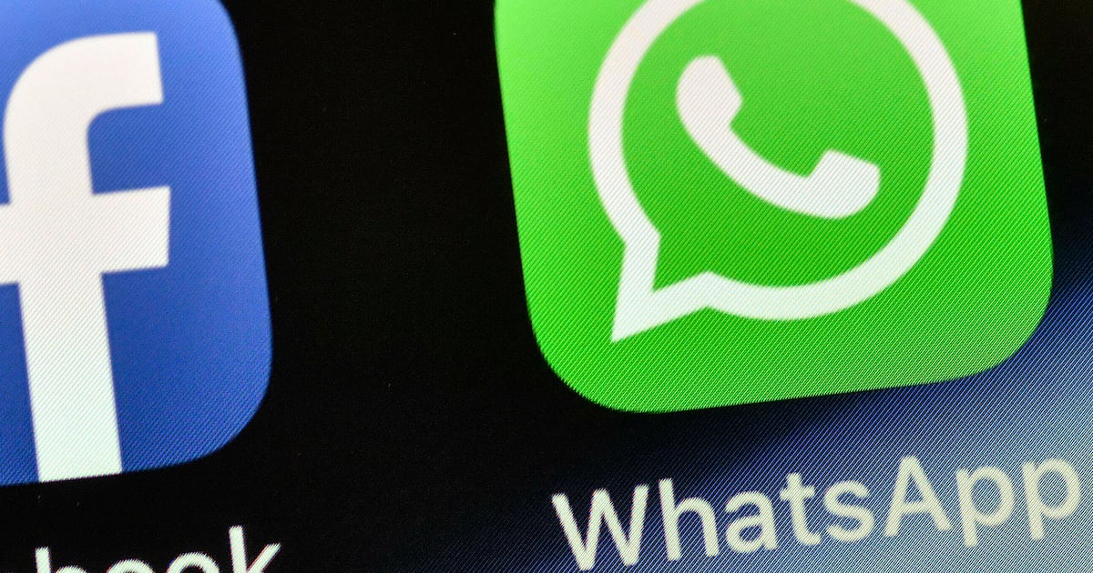 Meta launches WhatsApp 'incognito' mode to address privacy concerns for AI chats - CTV News
