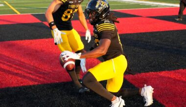 Jerjuan Newton has three TD catches as Hamilton Tiger-Cats beat Toronto Argonauts