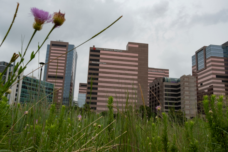 Texas Children’s Hospital to create clinic reversing trans care