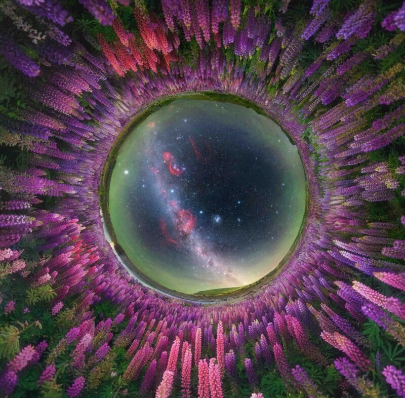 A circular fisheye view of a starry night sky surrounded by vibrant purple and pink lupine flowers, creating a tunnel-like effect with the Milky Way at the center.