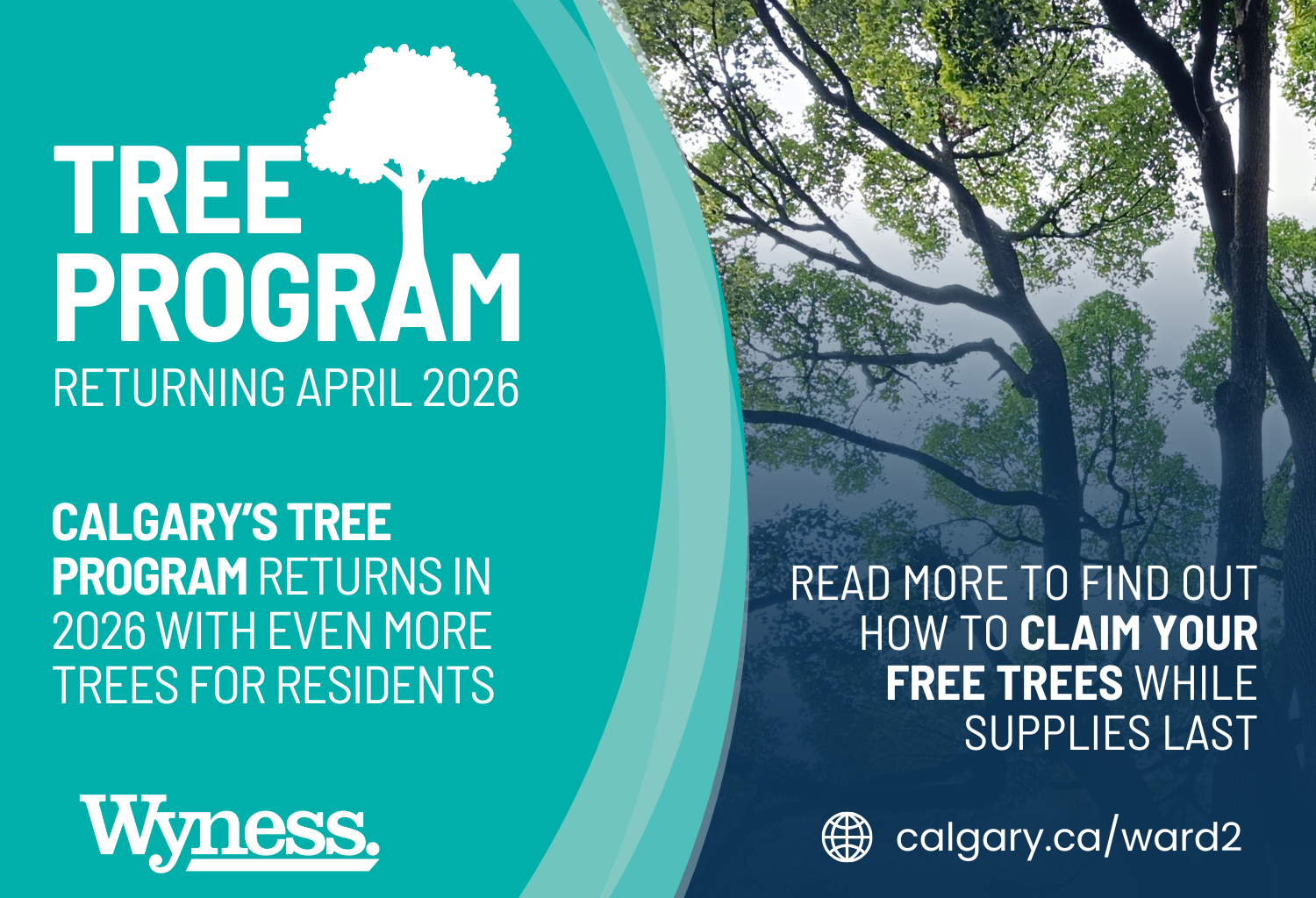 "Branching Out" returns in 2026 with more trees for Calgary