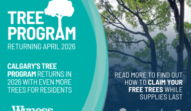 "Branching Out" returns in 2026 with more trees for Calgary