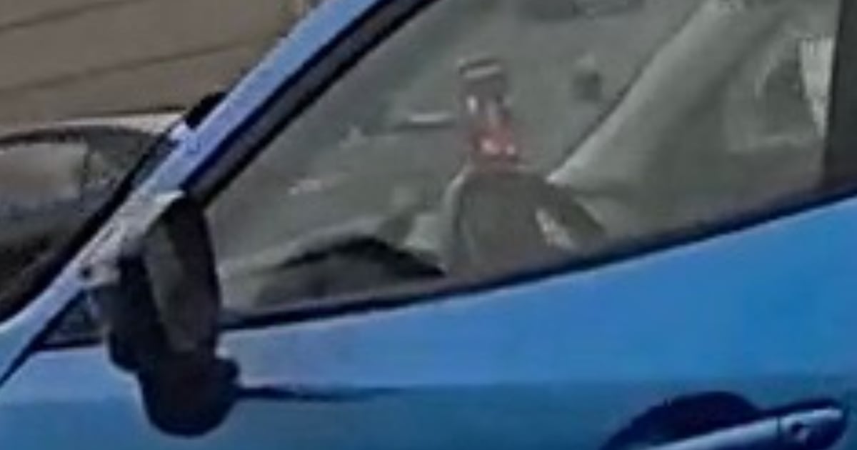 OPP charge driver caught filming self on Hwy. 417 - CTV News