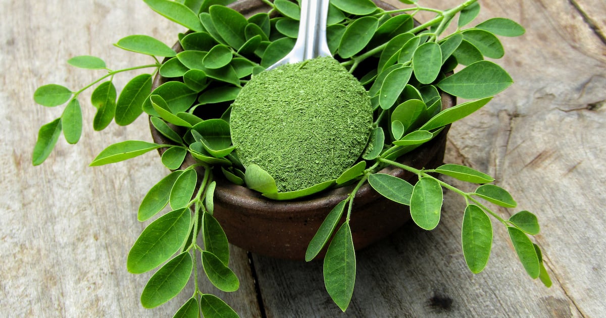 Moringa recalls spotlight pathogen risks across botanical supply chains