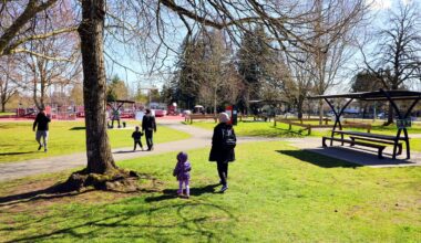 Surrey launches second round of engagement on future of Unwin Park