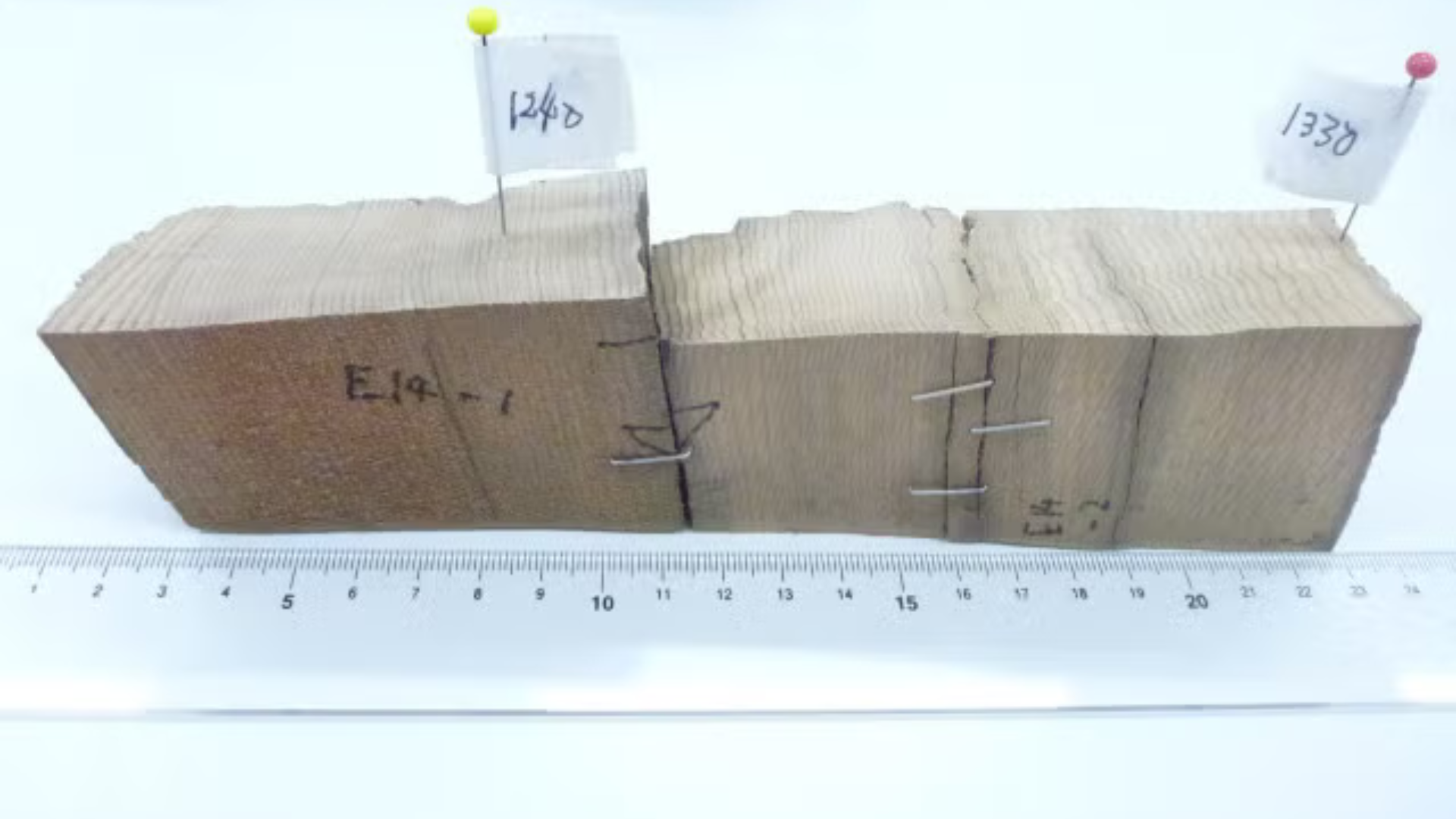 Blocks of tree bark on a table.