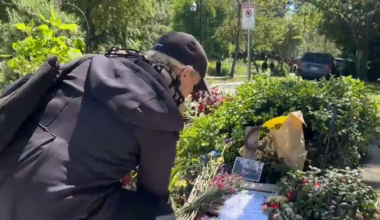 Memorial grows for senior struck in West End crash